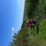 Marche Gourmande 2023